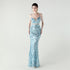 Graceful Sequin Embellished Mesh Mermaid Maxi Dress